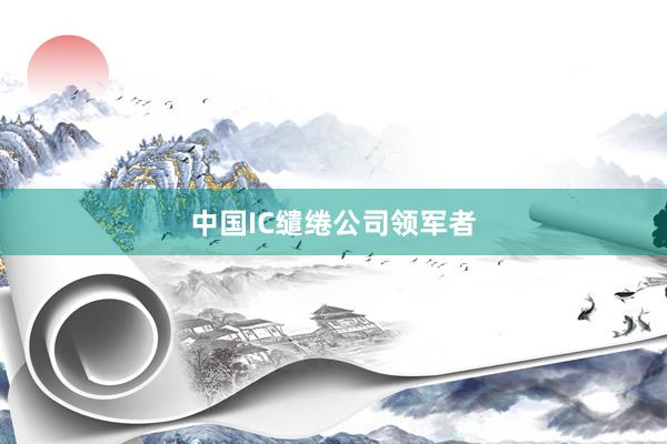 中国IC缱绻公司领军者