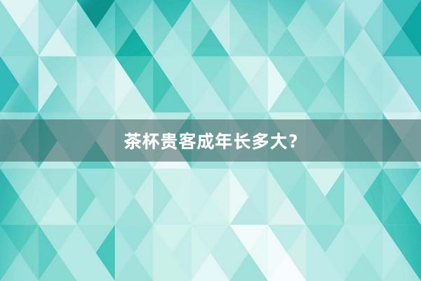 茶杯贵客成年长多大？