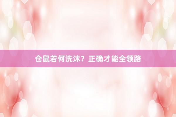 仓鼠若何洗沐？正确才能全领路