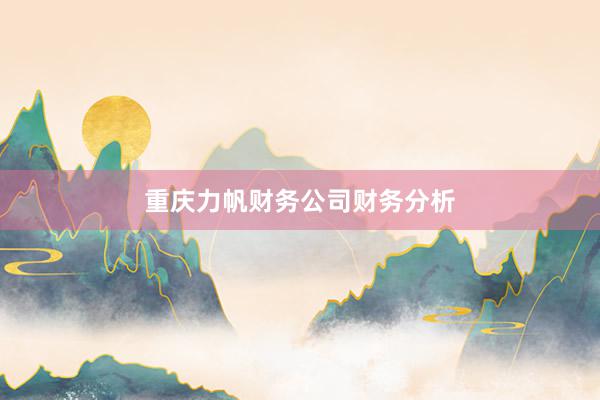 重庆力帆财务公司财务分析